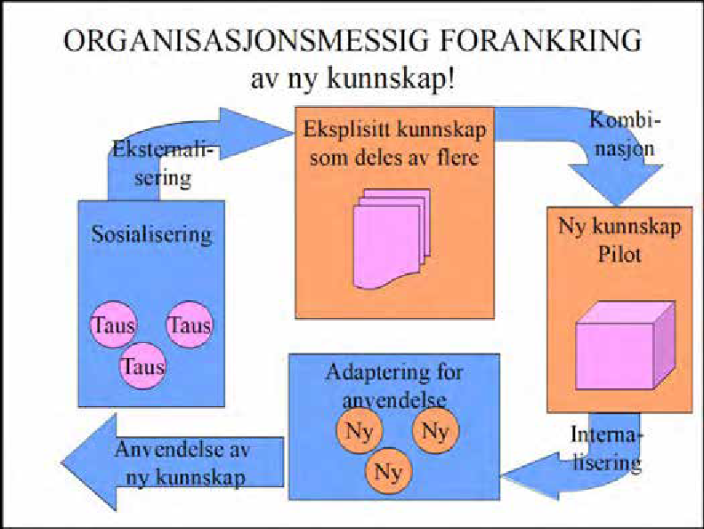 Figur: Organisasjonsmessig forankring av ny kunnskap
