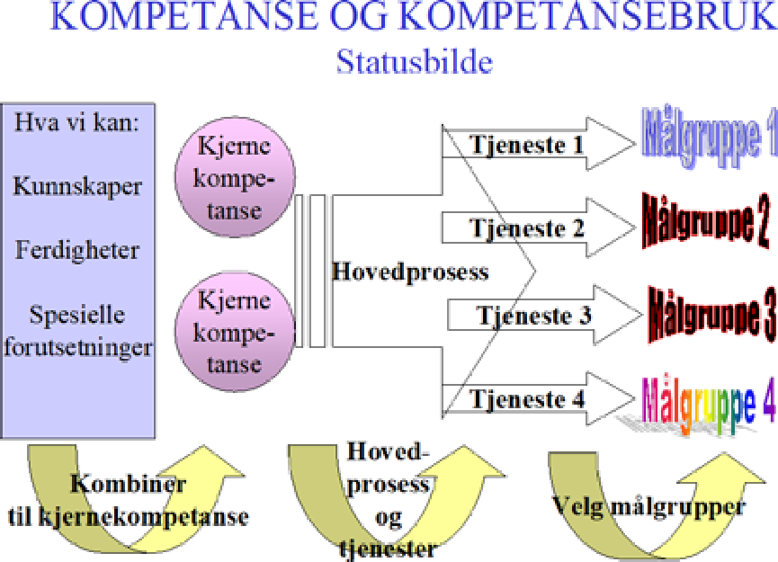Figur: Kompetanse og kompetansebruk – statusbilde